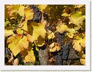 2004-10-24_15-03-47_Octobre_80,0mm_1_100_eme_DiMAGE A2 * 2080 x 1560 * (1.85MB)